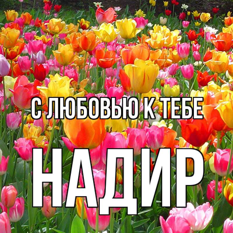 Картинка С любовью к тебе, Надир