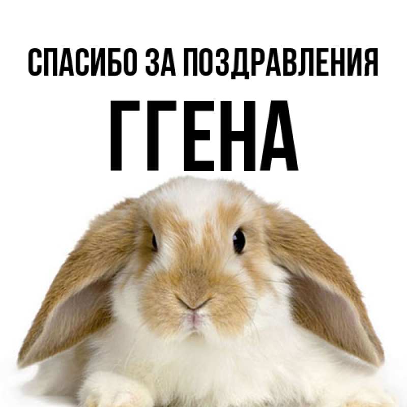 Картинка Спасибо за поздравления, Ггена