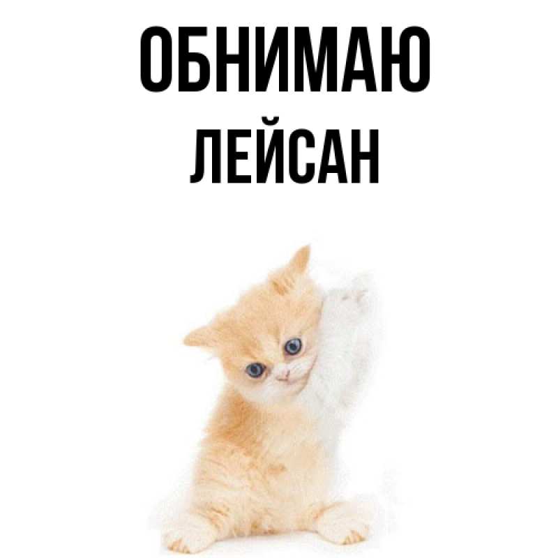 Картинка Обнимаю, Лейсан