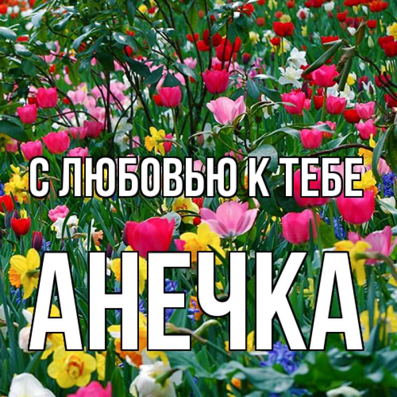 Картинка С любовью к тебе, анечка