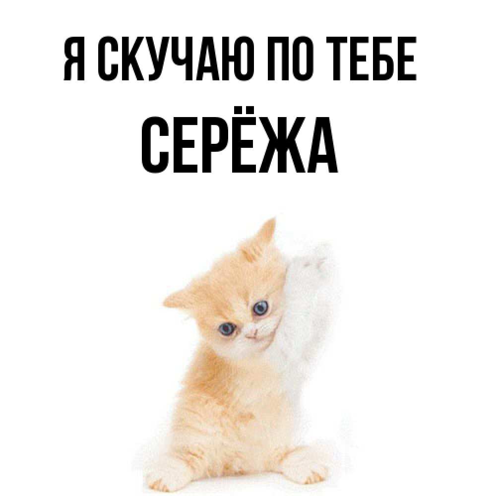 Открытка  с именем. Серёжа, Я скучаю по тебе  