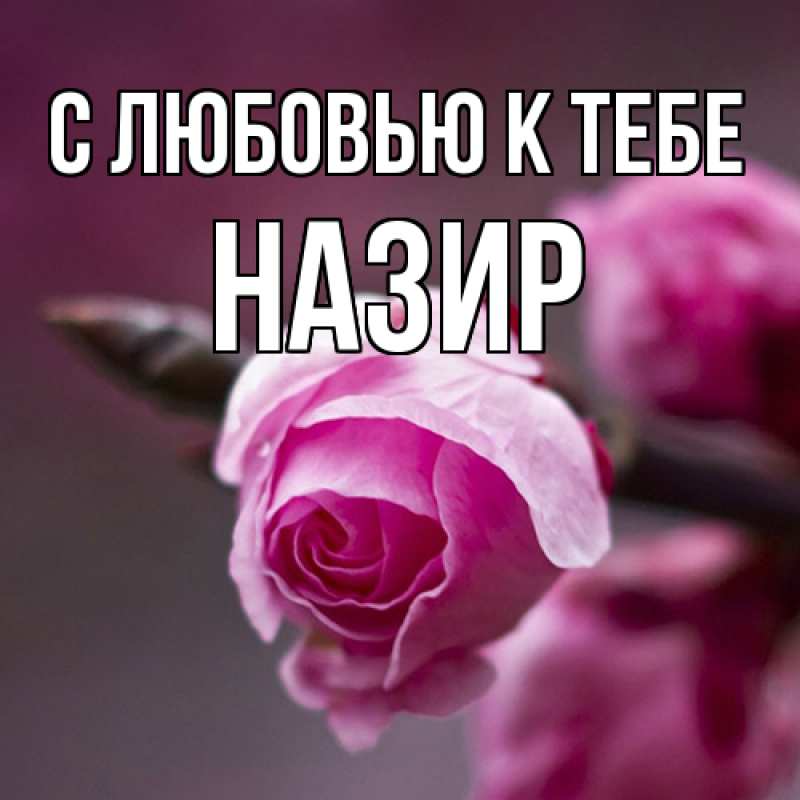 Картинка С любовью к тебе, Назир