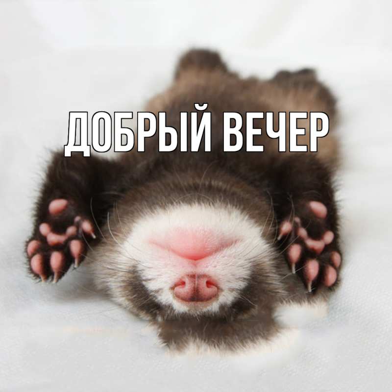 Картинка Добрый вечер, 