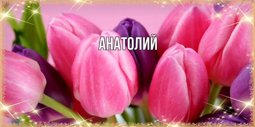 Открытка  с именем. Анатолий, Главная  