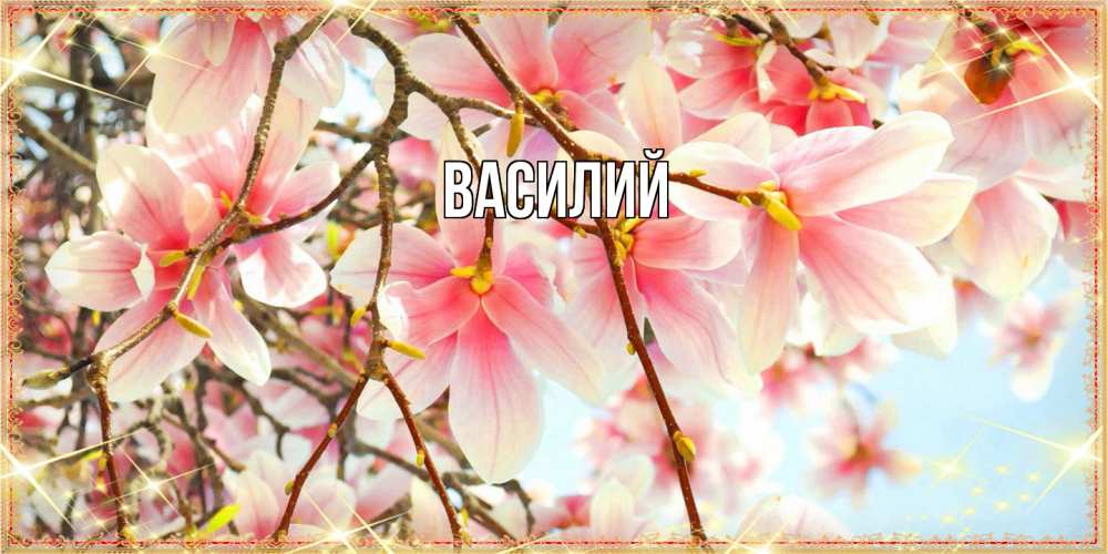 Открытка  с именем. Василий, Главная  