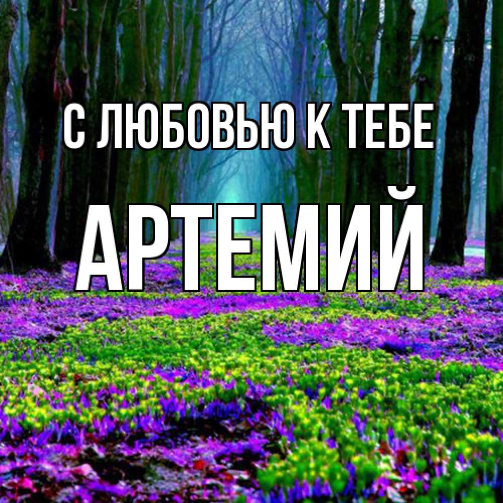 Открытка  с именем. Артемий, С любовью к тебе  