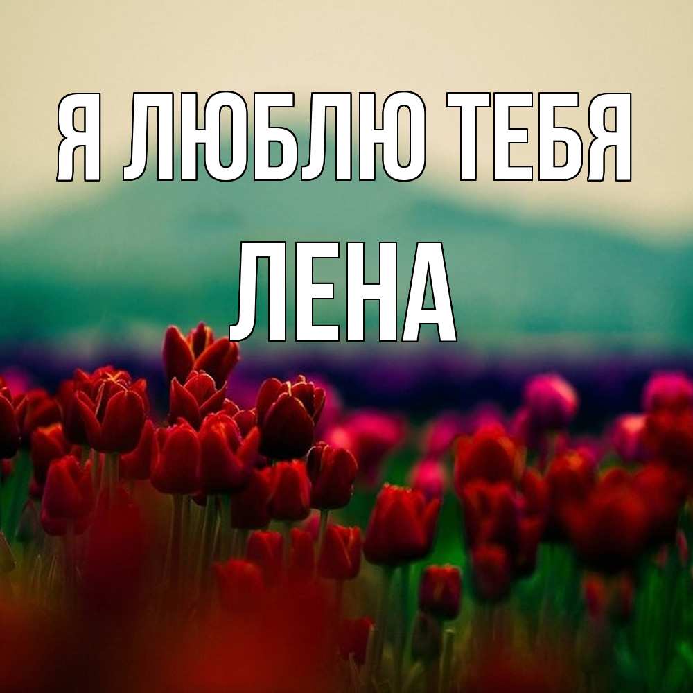 Открытка  с именем. Лена, Я люблю тебя  