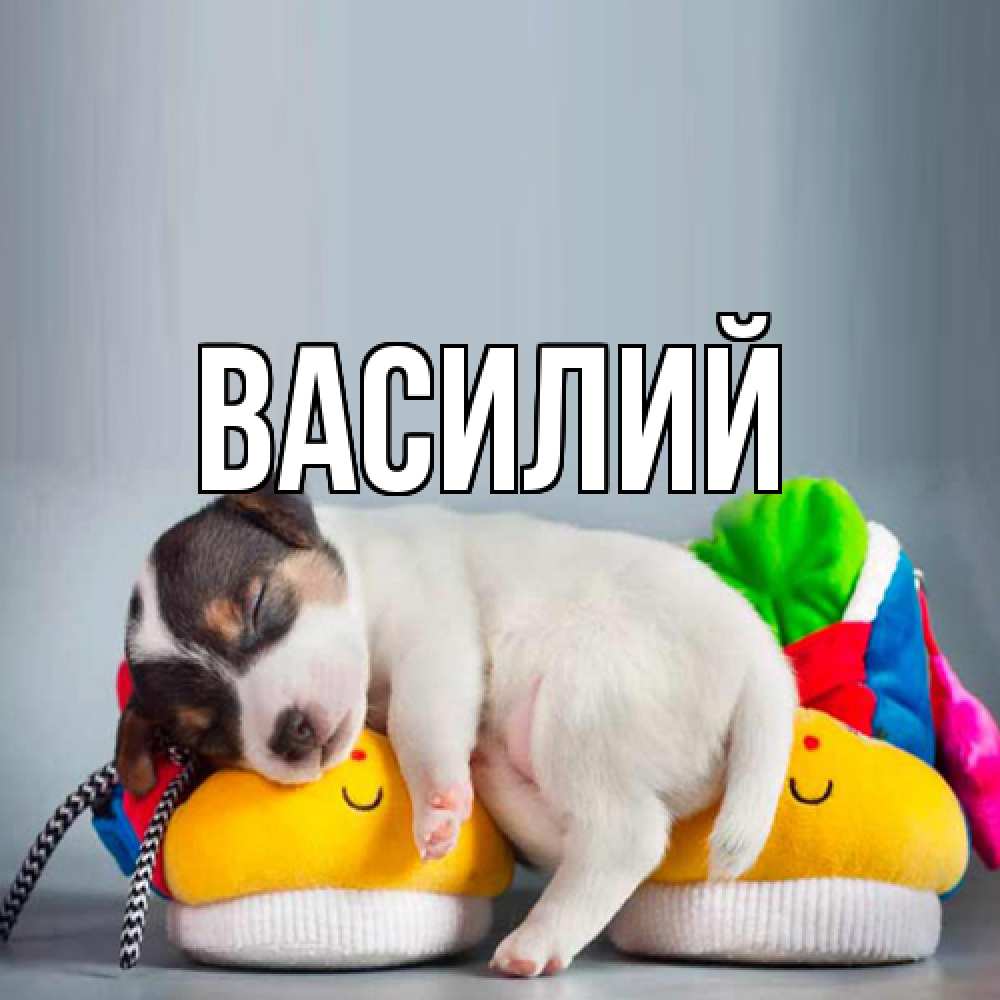 Открытка  с именем. Василий, Главная  
