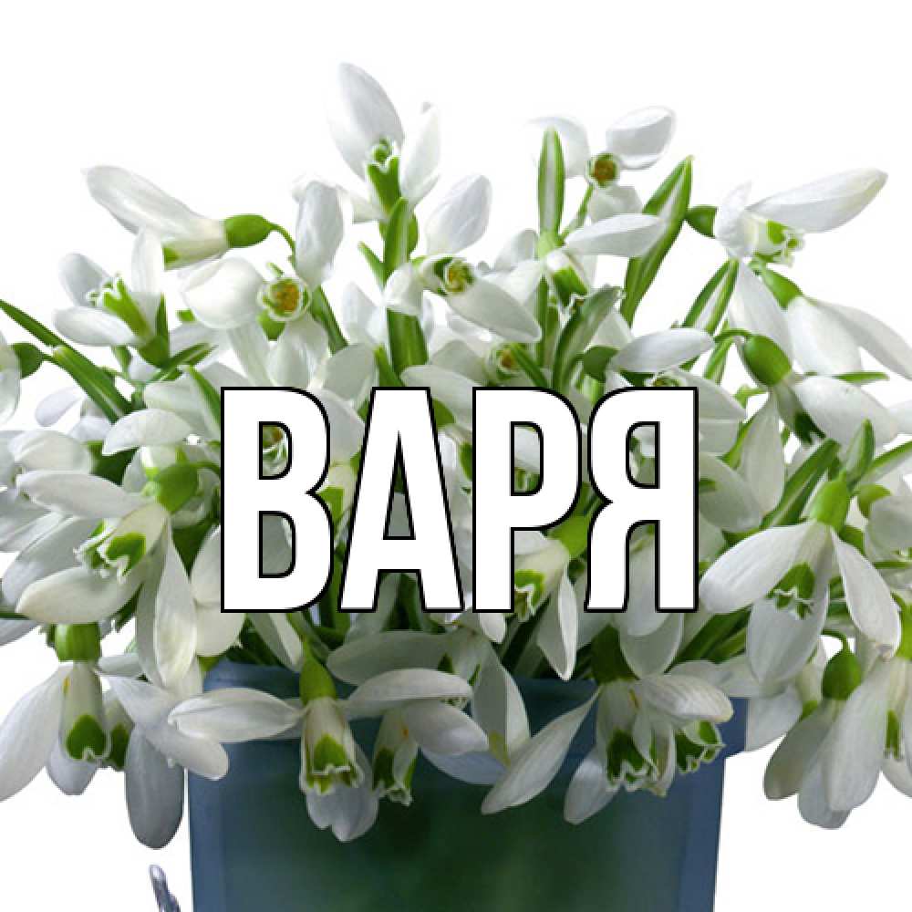 Открытка  с именем. варя, Главная  