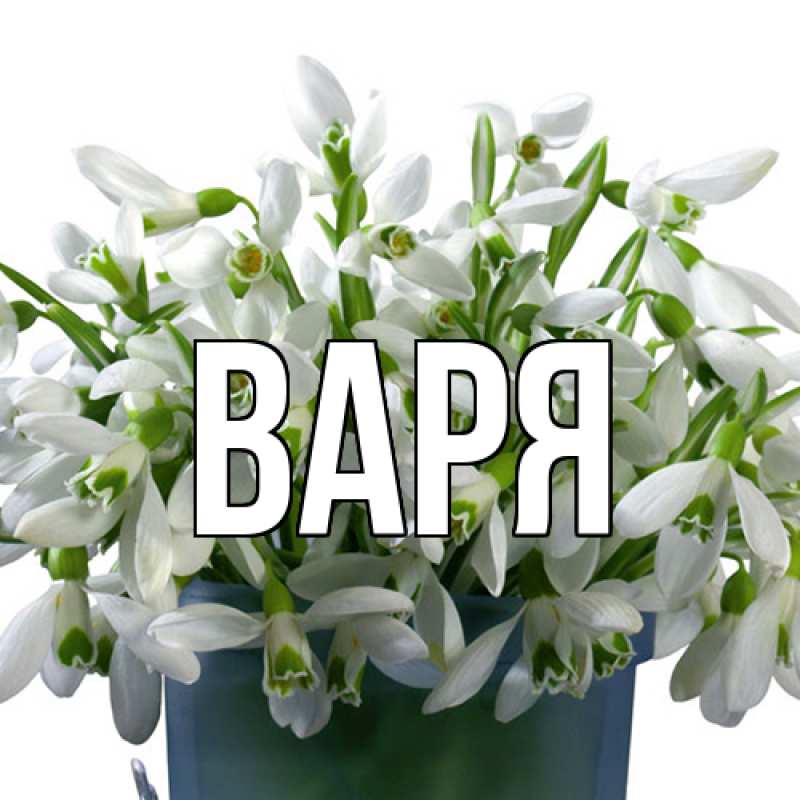 Картинка  с именем , варя