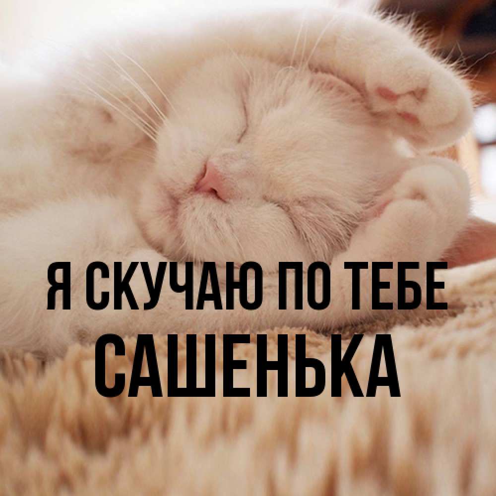 Открытка  с именем. Сашенька, Я скучаю по тебе  