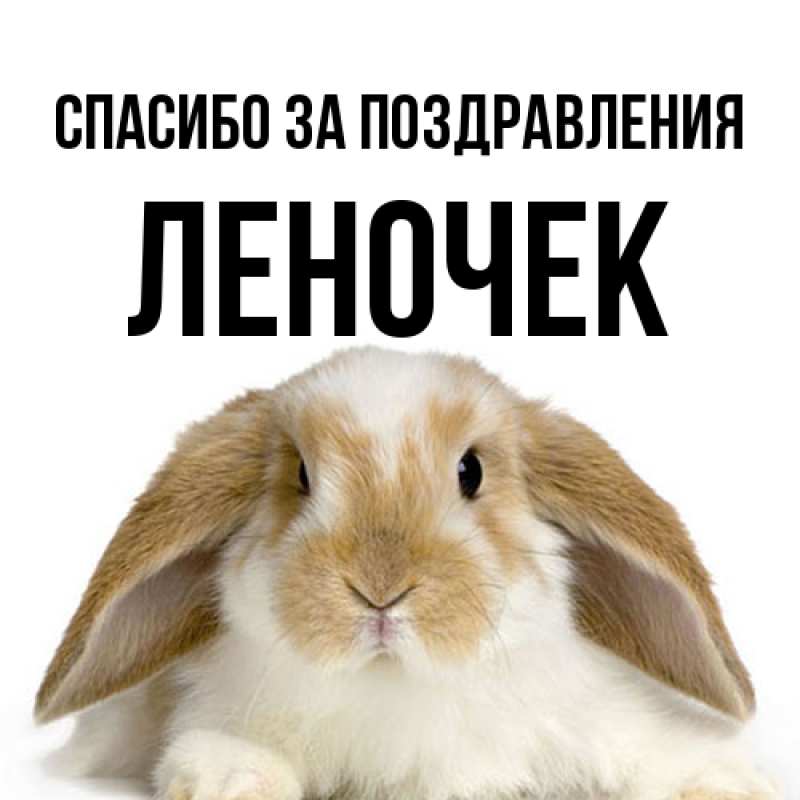 Открытка с именем, леночек, Спасибо за поздравления