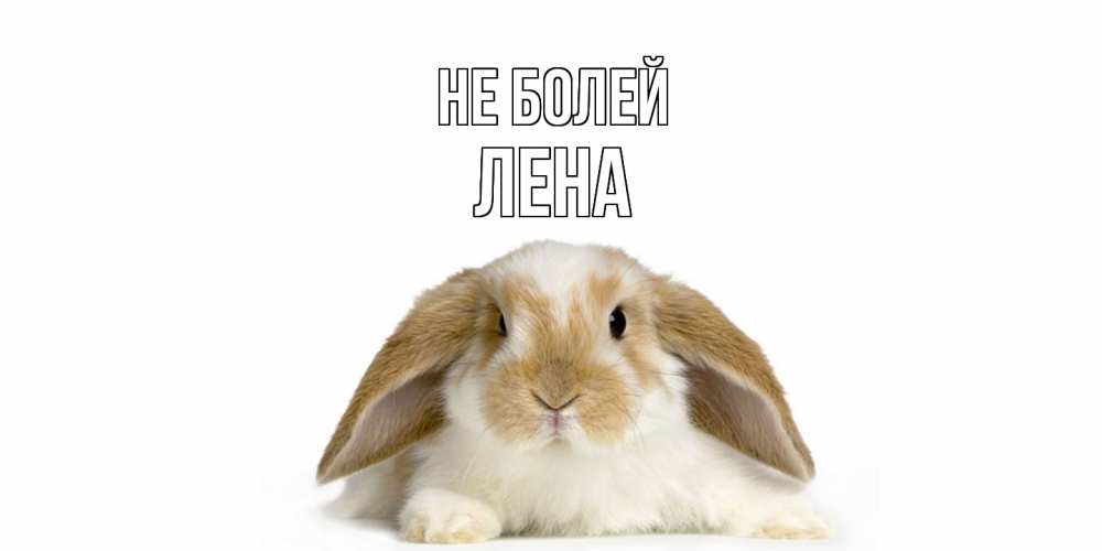 Открытка  с именем. лена, Не болей  