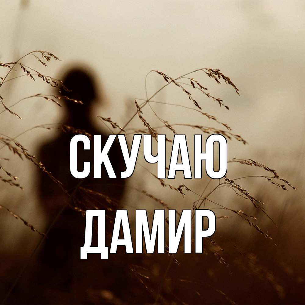 Открытка  с именем. Дамир, Скучаю  