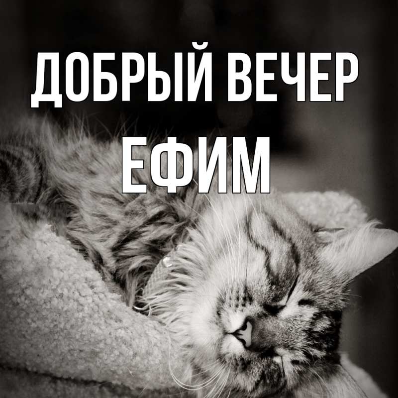 Открытка с именем, Ефим, Добрый вечер