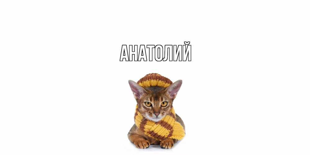 Открытка  с именем. Анатолий, Главная  