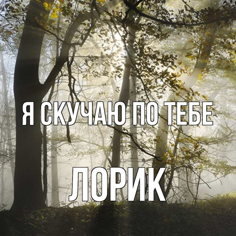 Картинка Я скучаю по тебе, Лорик