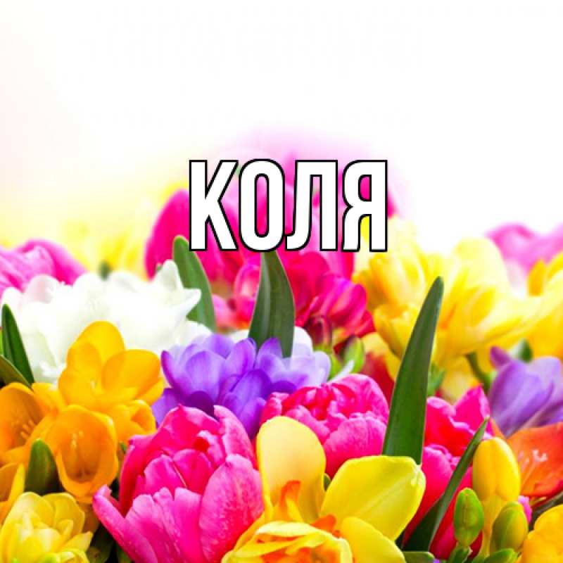 Картинка  с именем , коля