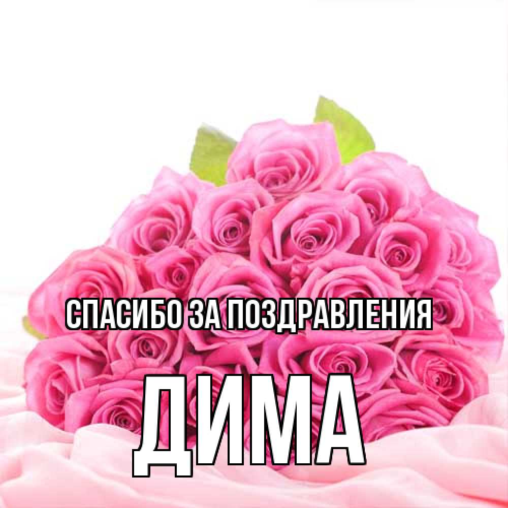 Открытка  с именем. Дима, Спасибо за поздравления  