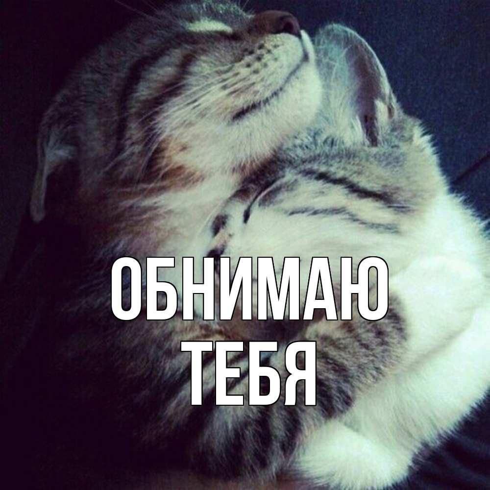 Открытка  с именем. тебя, Обнимаю  