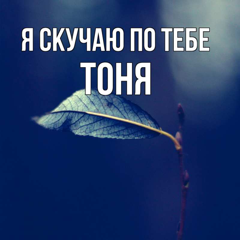 Картинка Я скучаю по тебе, Тоня