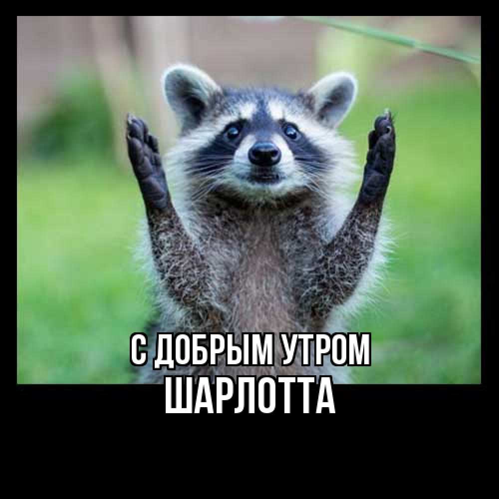 Открытка  с именем. Шарлотта, С добрым утром  