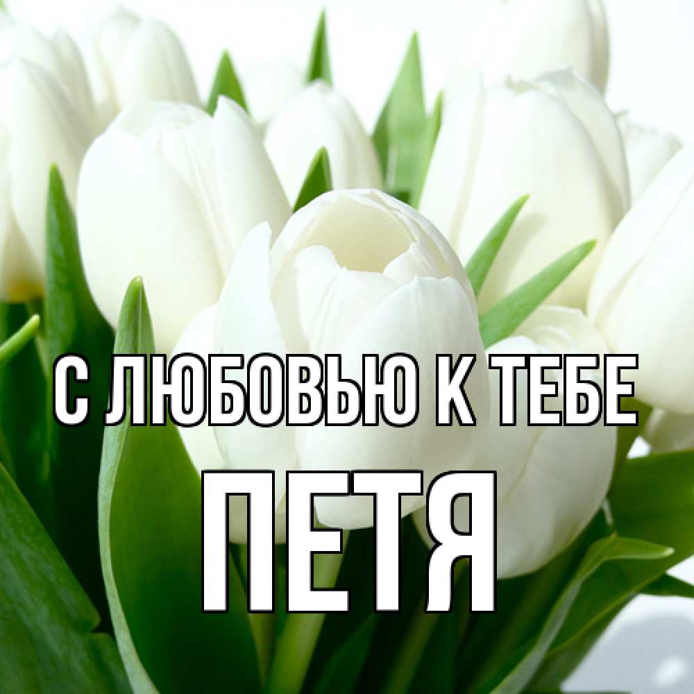 Открытка  с именем. петя, С любовью к тебе  
