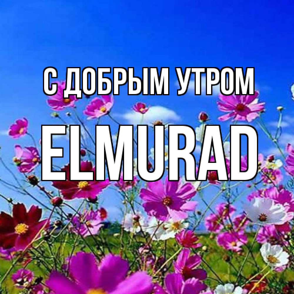 Открытка  с именем. Elmurad, С добрым утром  