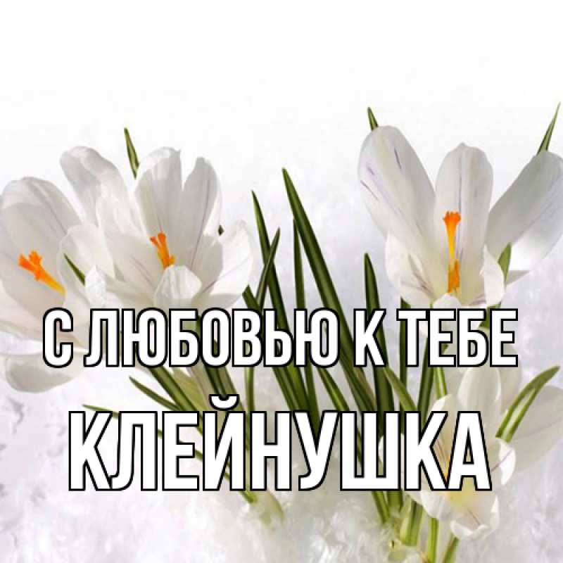 Картинка С любовью к тебе, Клейнушка