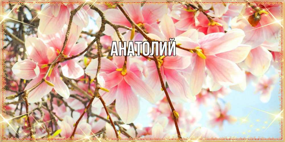 Открытка  с именем. Анатолий, Главная  