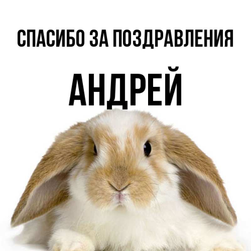 Картинка Спасибо за поздравления, Андрей