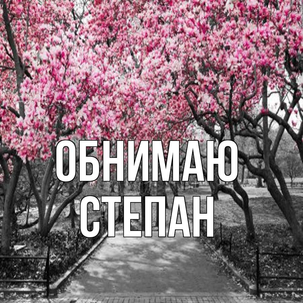 Открытка  с именем. Степан, Обнимаю  