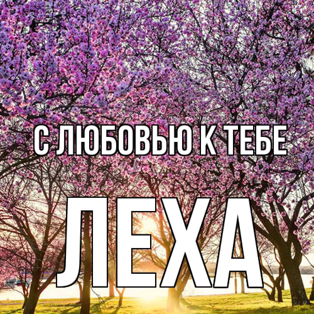 Открытка  с именем. Леха, С любовью к тебе  