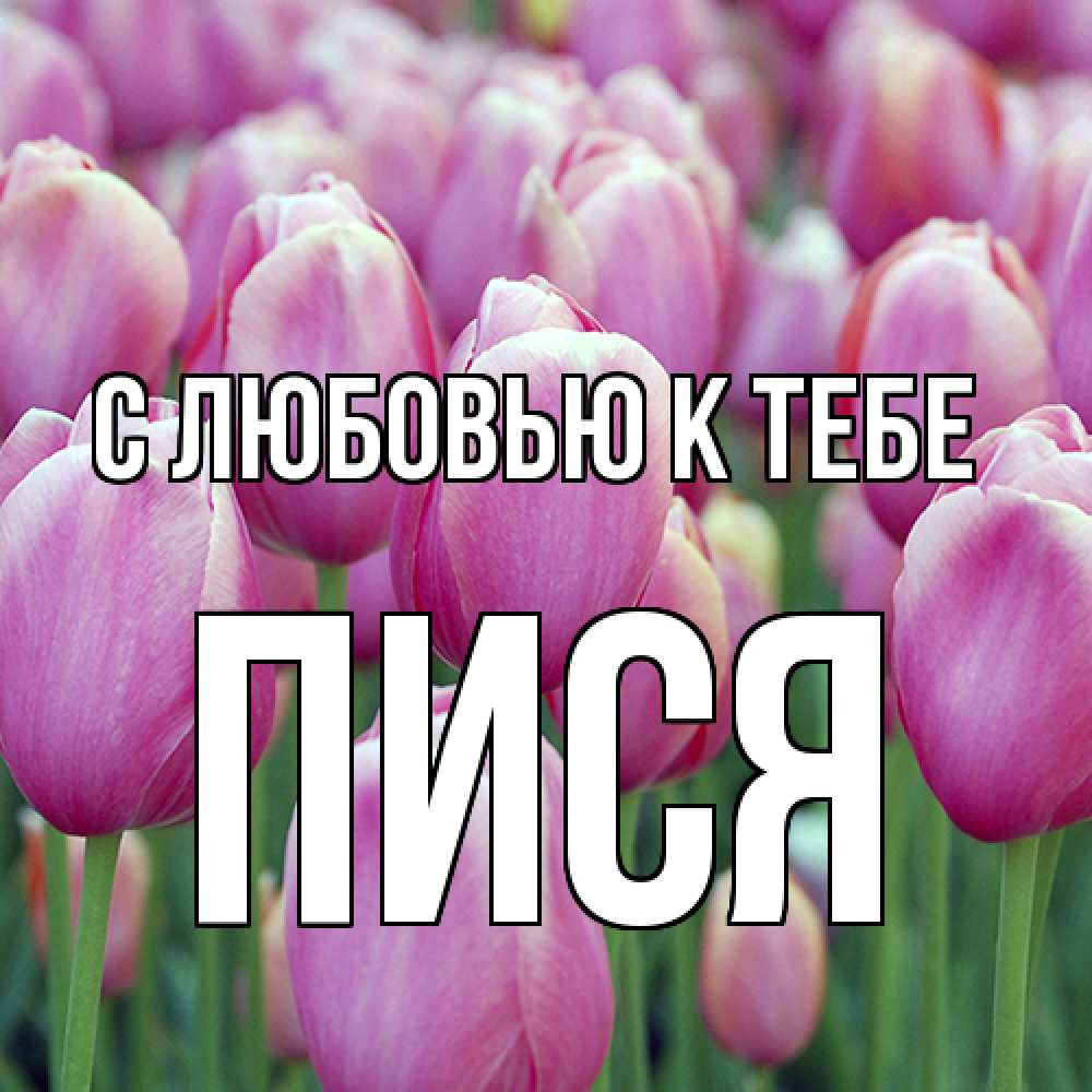 Открытка  с именем. пися, С любовью к тебе  