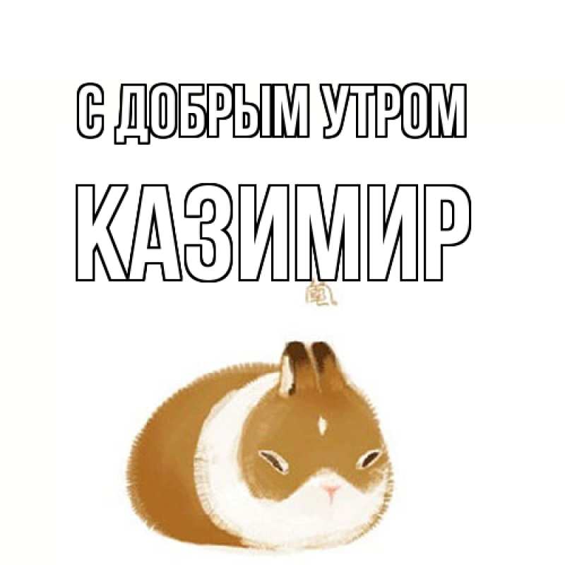 Картинка С добрым утром, Казимир