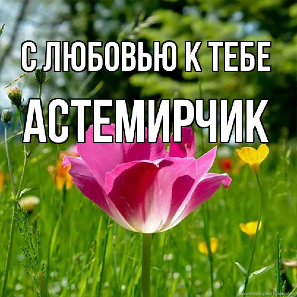 Открытка  с именем. Астемирчик, С любовью к тебе  