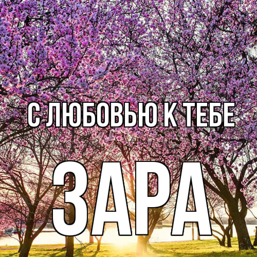 Открытка  с именем. Зара, С любовью к тебе  