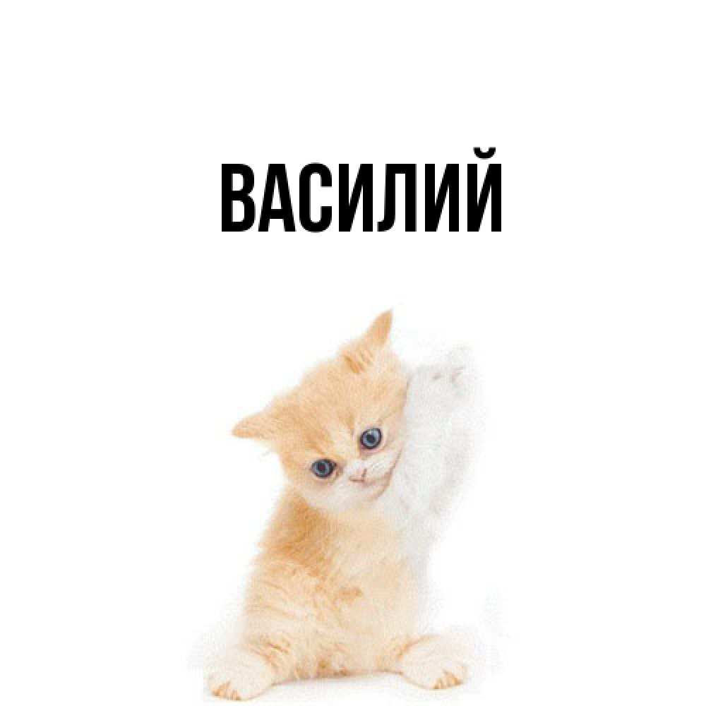 Открытка  с именем. Василий, Главная  