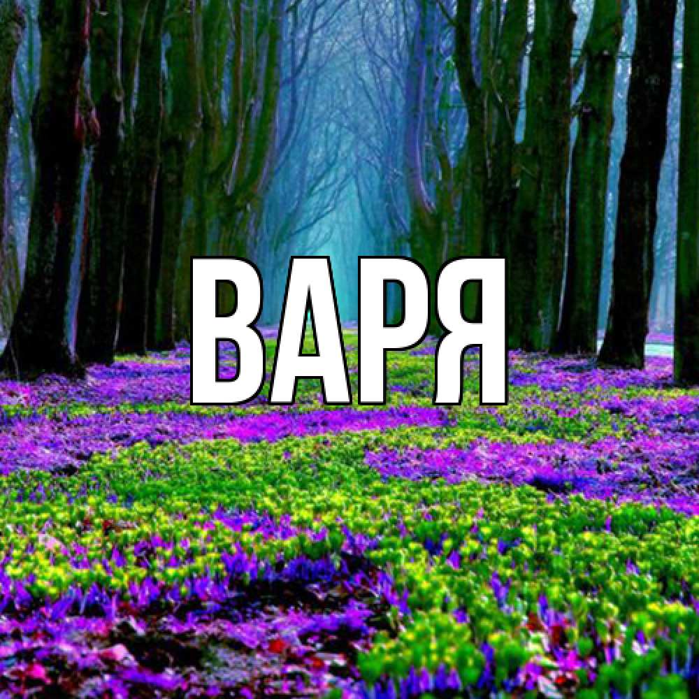 Открытка  с именем. варя, Главная  