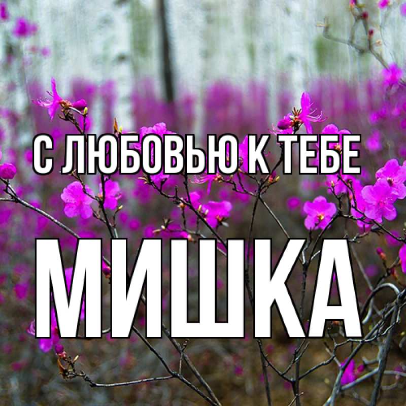 Картинка С любовью к тебе, Мишка