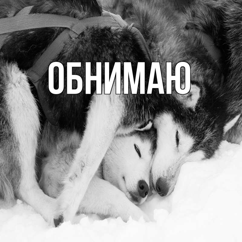 Картинка Обнимаю, 