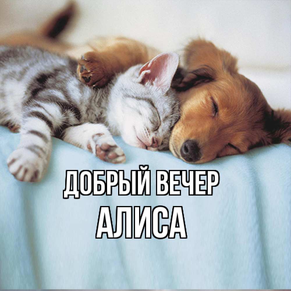 Открытка  с именем. Алиса, Добрый вечер  