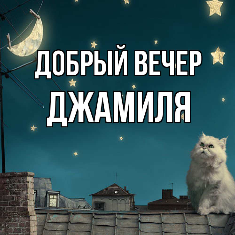 Открытка  с именем. Джамиля, Добрый вечер  