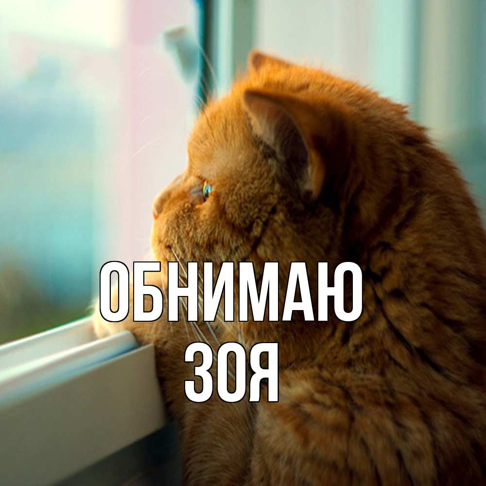 Открытка  с именем. Зоя, Обнимаю  