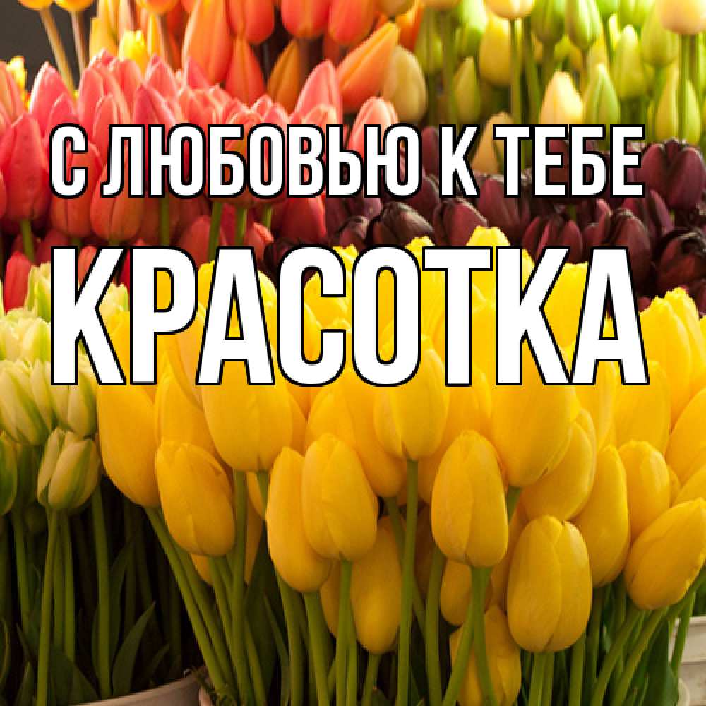 Открытка  с именем. Красотка, С любовью к тебе  