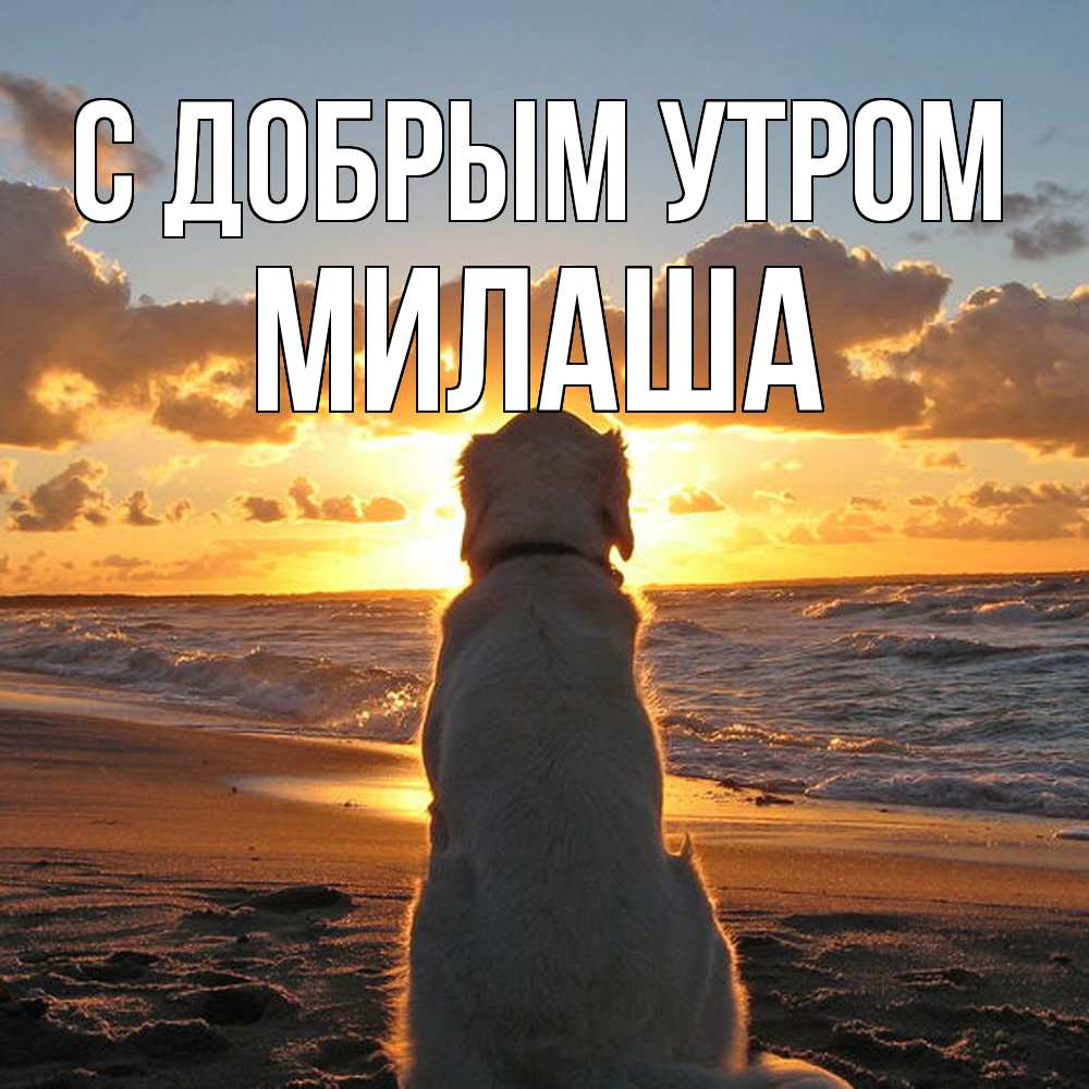Открытка  с именем. Милаша, С добрым утром  