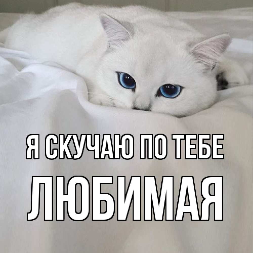 Открытка  с именем. Любимая, Я скучаю по тебе  