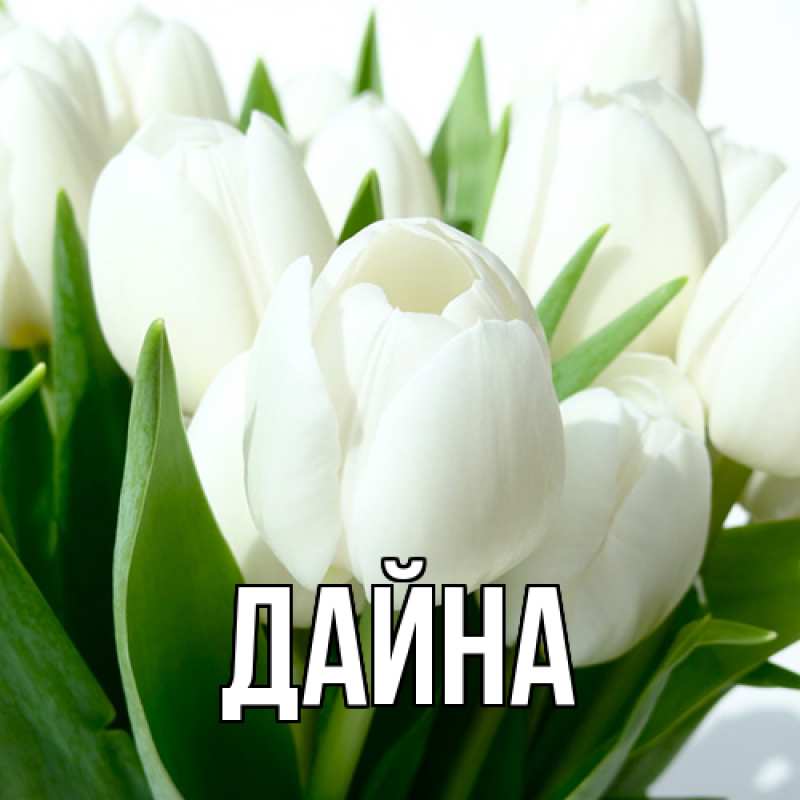 Картинка  с именем , Дайна