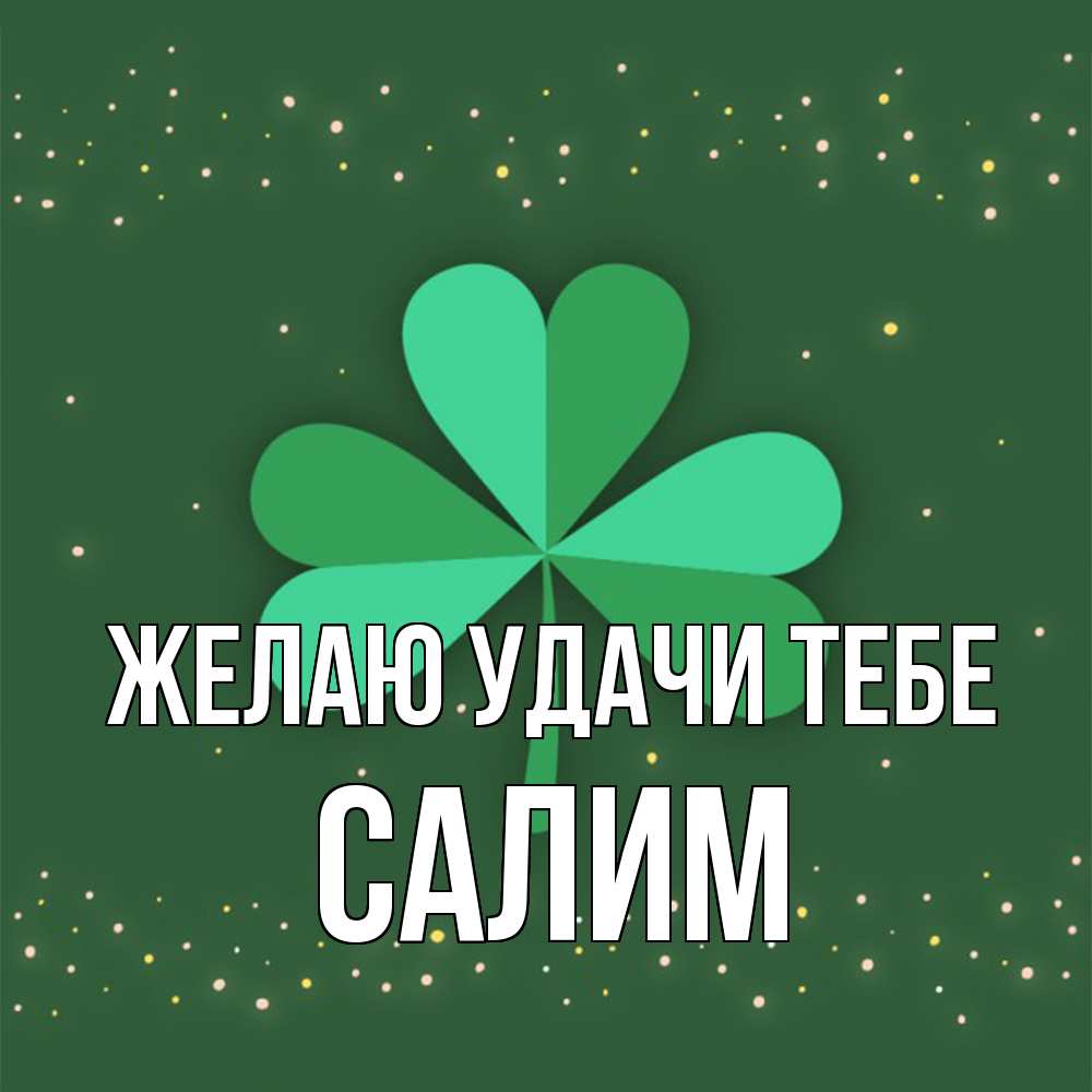 Открытка  с именем. Салим, Желаю удачи тебе  