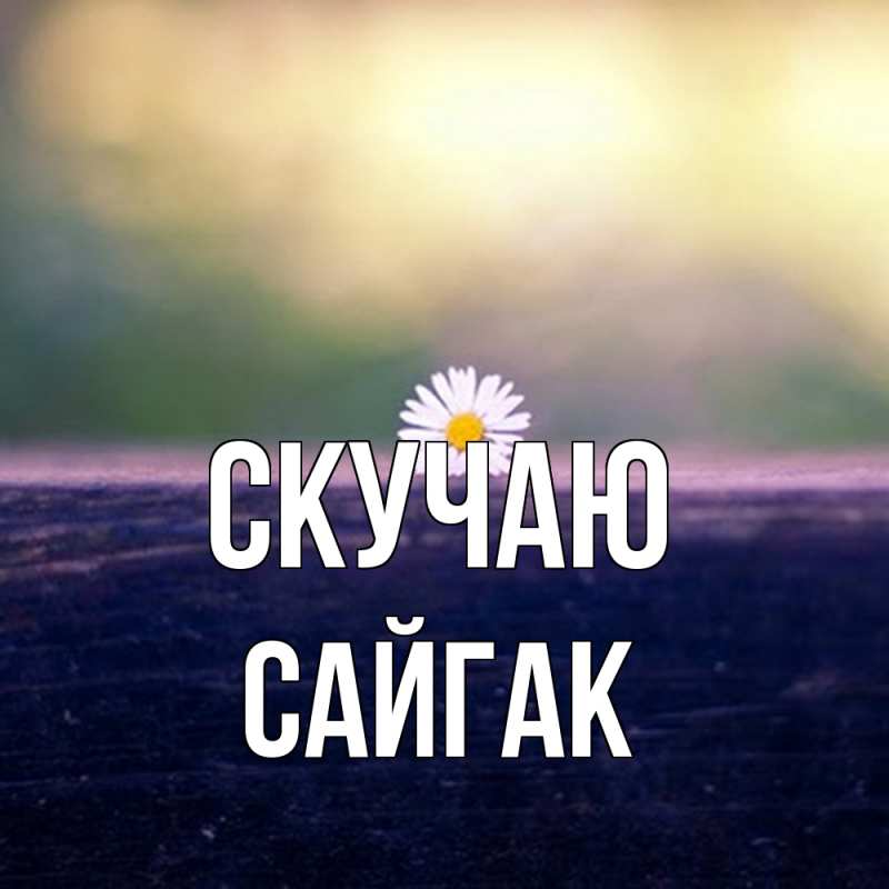 Открытка с именем, Сайгак, Скучаю
